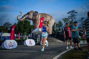 BIB: 
                            <button type="button" onclick="openModal(26541864)" class="btn btn-primary btn-sm float-right btn-popup" data-toggle="modal" data-target=".modal-high-quality">
                        <i class="fas fa-shopping-cart"></i> Add to Cart
                    </button>
                                            <button type="button" onclick="isThisMe(26541864, true)" class="btn btn-success btn-sm float-right btn-popup btn-isme hidden" data-toggle="tooltip" data-placement="bottom" title="นี่คือรูปของคุณใช่ไหม คลิกที่นี่เพื่อเอาเข้าอัลบั้ม">
                        <i class="fas fa-plus"></i> Add to album
                    </button>
                    <button type="button" onclick="isThisMe(26541864, false)" class="btn btn-warning btn-sm float-right btn-popup btn-isnotme hidden">
                        <i class="fas fa-ban"></i> Remove from album
                    </button>